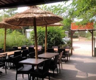 Terrasse sous parasols